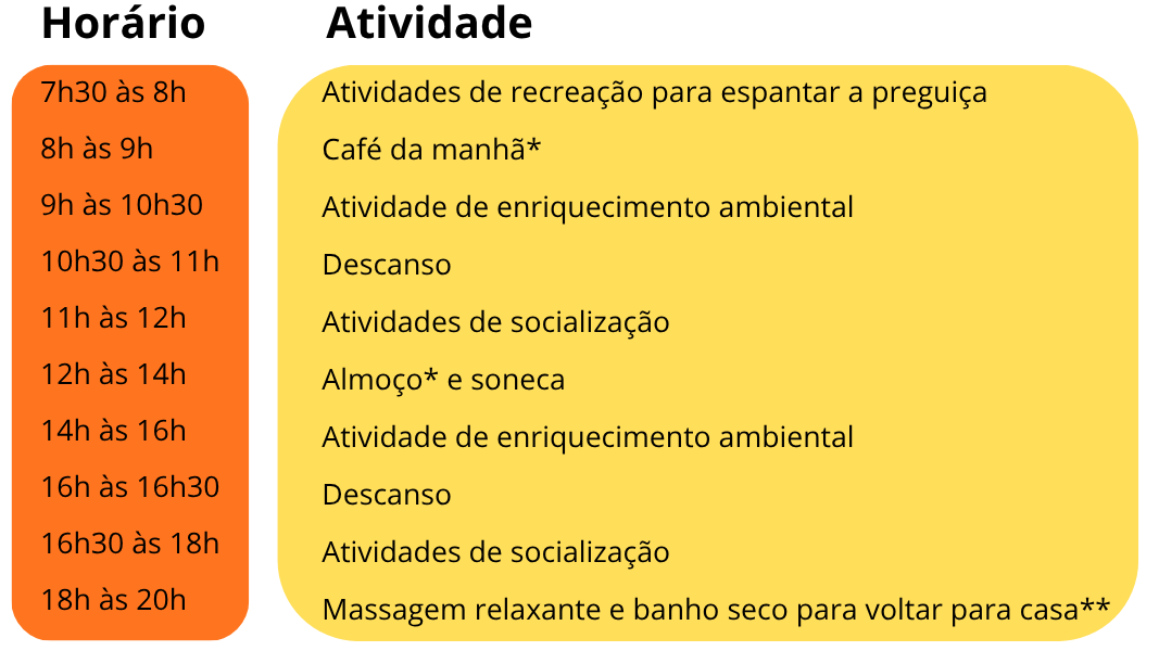 Inserir um subtítulo (8).png