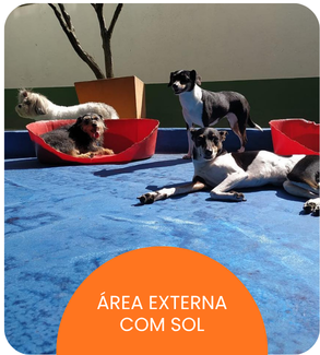 CRECHE CÃES (8).png