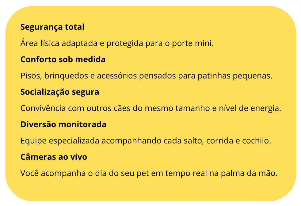 Inserir um subtítulo (7).png