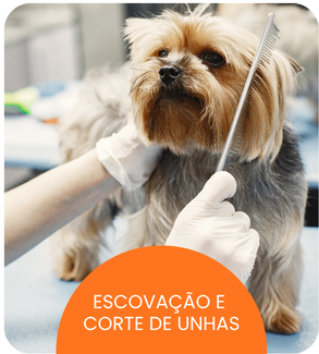 CRECHE CÃES (14).png