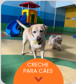 CRECHE CÃES.png