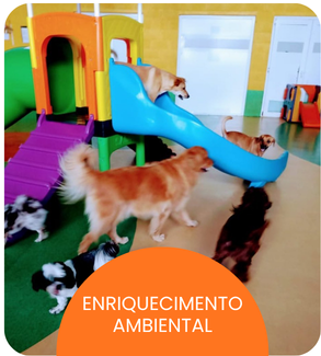 CRECHE CÃES (4).png