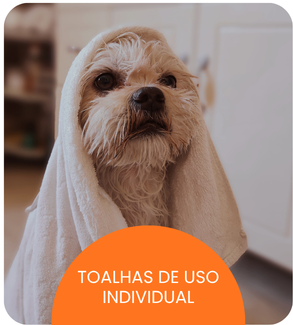 CRECHE CÃES (13).png