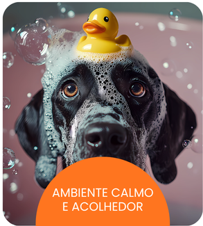CRECHE CÃES (12).png