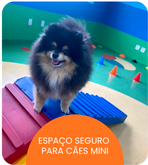 CRECHE CÃES (20).png