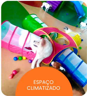 CRECHE CÃES (3).png