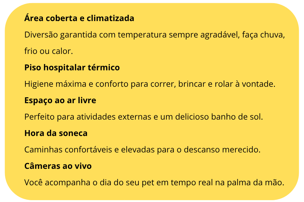 Inserir um subtítulo (1).png