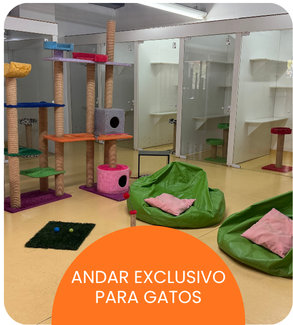 CRECHE CÃES (9).png