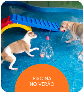 CRECHE CÃES (5).png